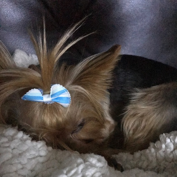 Meet your Posher, Kimberly - Picture 1 of 1